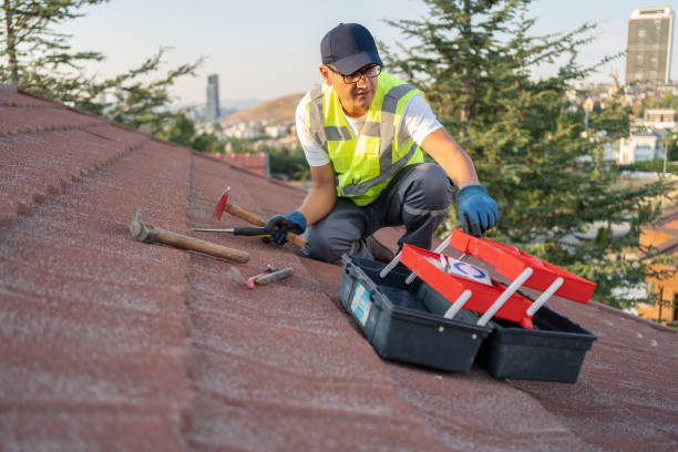 Best Storm Damage Siding Repair  in Waterloo, IN